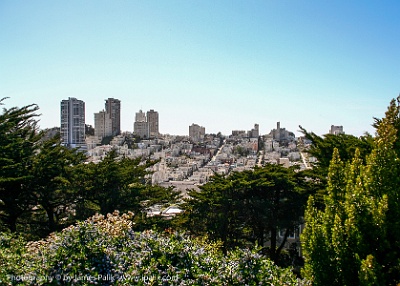 San Francisco -  from Telegraph Hill Looking Toward  Knob Hill  San Francisco, California USA